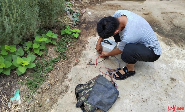 电捕地龙之痛①：野生蚯蚓遭“灭绝式”捕杀，已形成完整产业链，价格近年涨5倍②